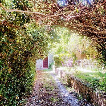 A Pivarella Grosseto-Prugna Luaran gambar